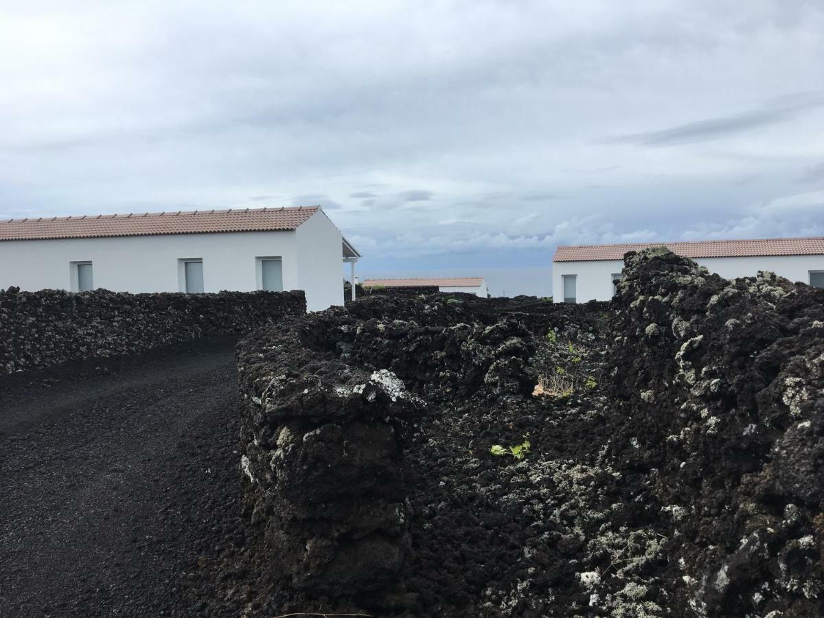 Insula Vinus Apartments Madalena  Exterior foto